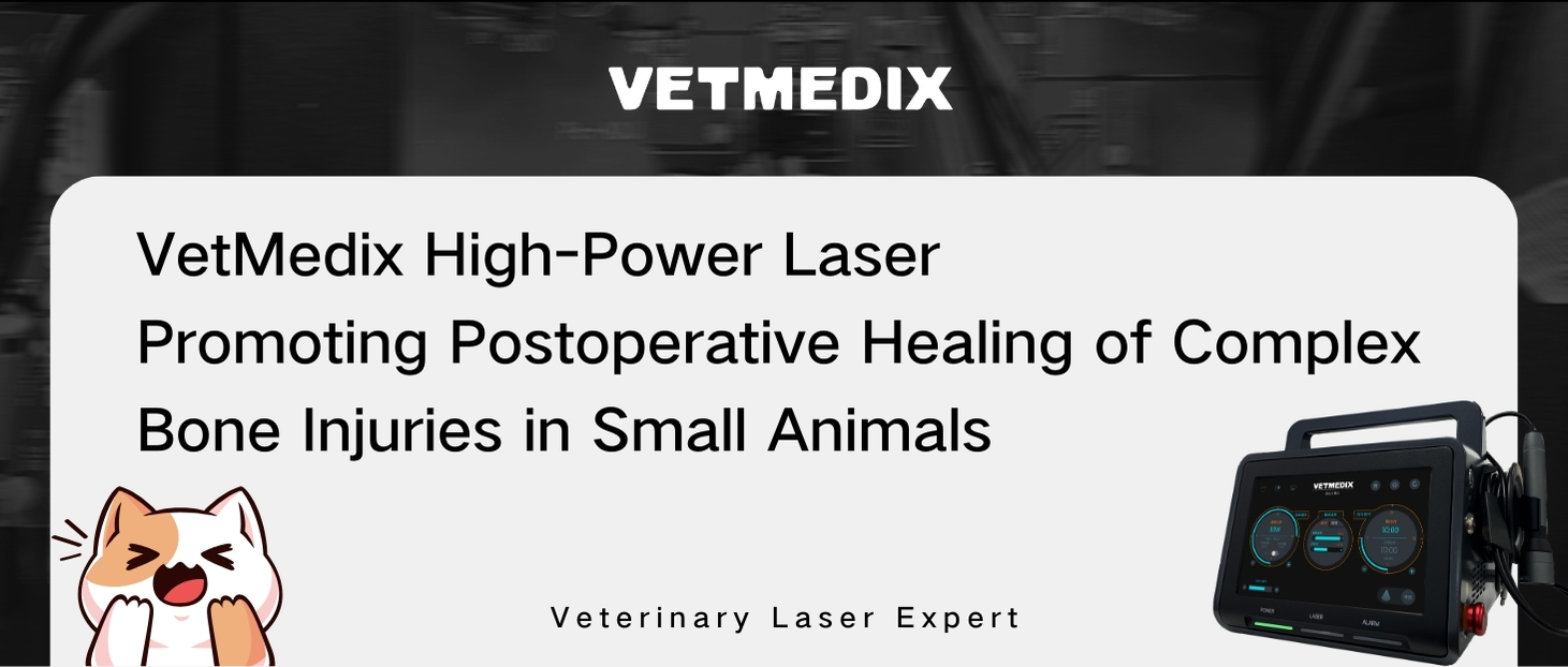 VetMedix Case Sharing丨High-Power Laser Treatment of Secondary Tibiofibular Fracture in Animals